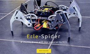 Erle Spider